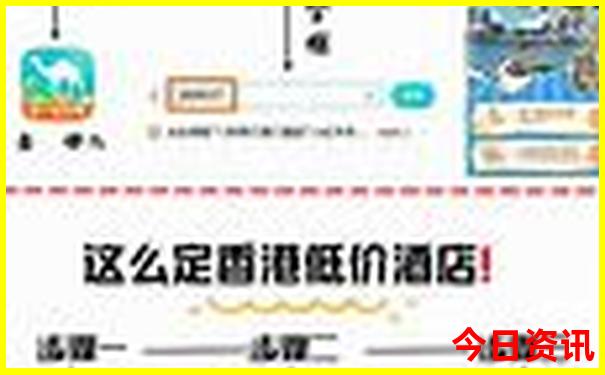 包娜娜的个人资料